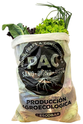 [p1056] ​BOLSON VERDURAS AGROECOLOGICAS DE ESTACION X 5 KILOS
