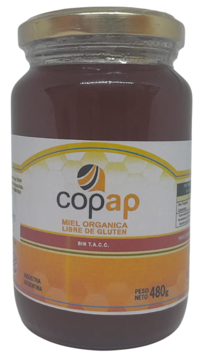 MIEL COPAP ORGANICA VIDRIO X 480 GRS